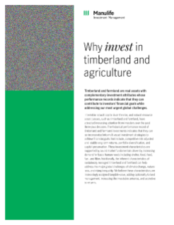 Why invest in timberland and agriculture