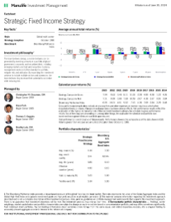 Strategic Fixed Income Fact Sheet