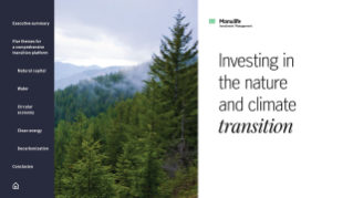 Investing in the nature and climate transition